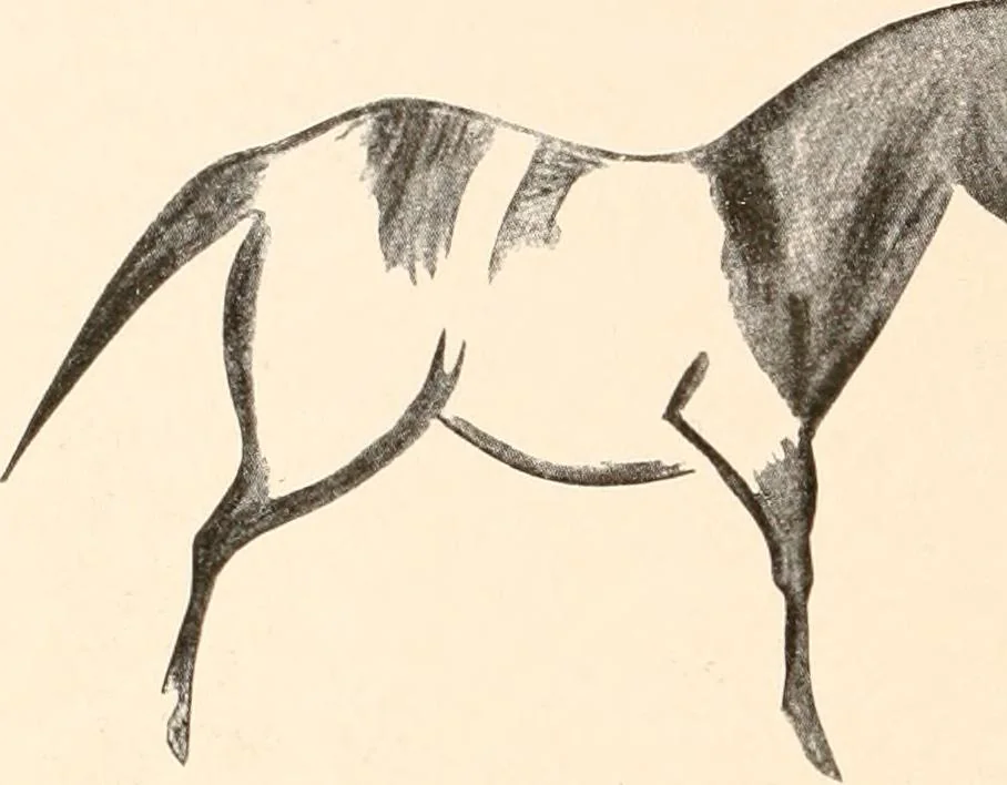 An illustration from Men of the old stone age, their environment, life and art, 1916, leaf 445