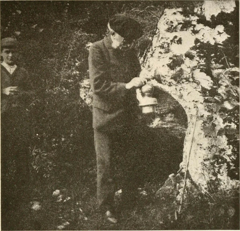 An illustration from Men of the old stone age, their environment, life and art, 1916, leaf 448