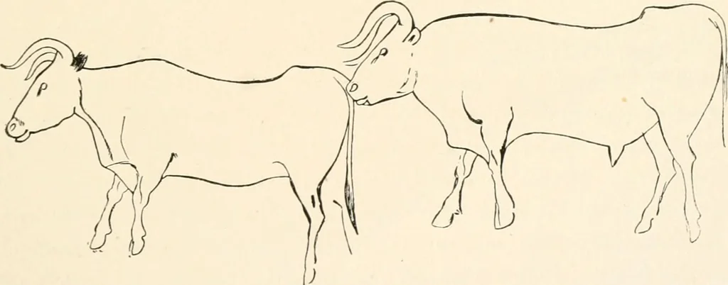 An illustration from Men of the old stone age, their environment, life and art, 1916, leaf 450