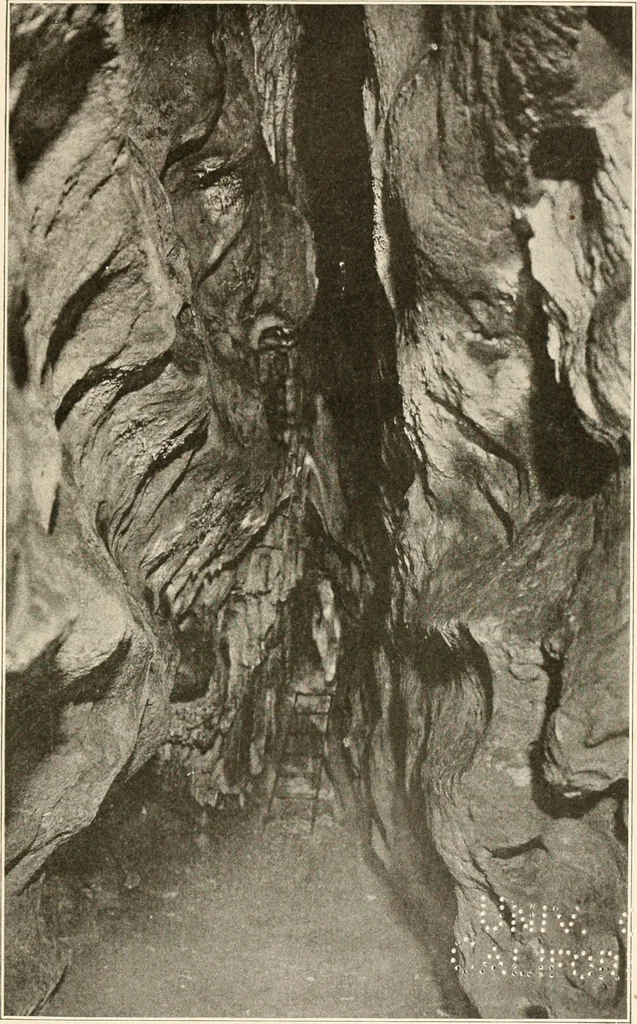 An illustration from Men of the old stone age, their environment, life and art, 1916, leaf 456