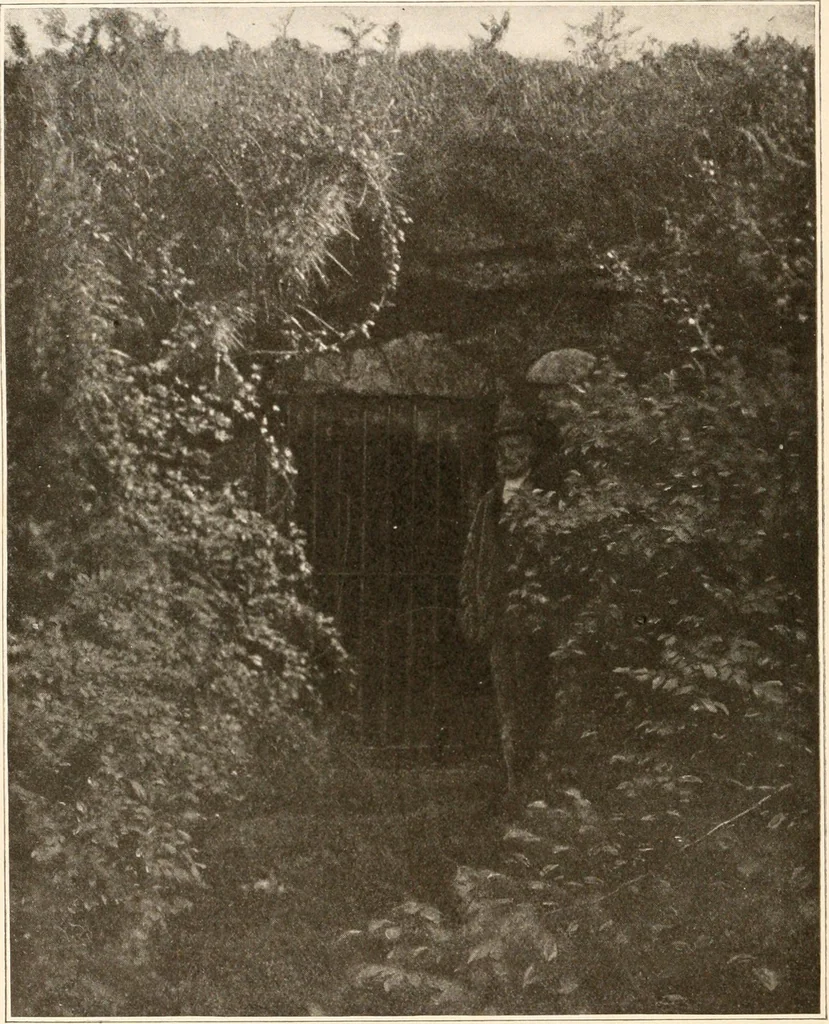An illustration from Men of the old stone age, their environment, life and art, 1916, leaf 461