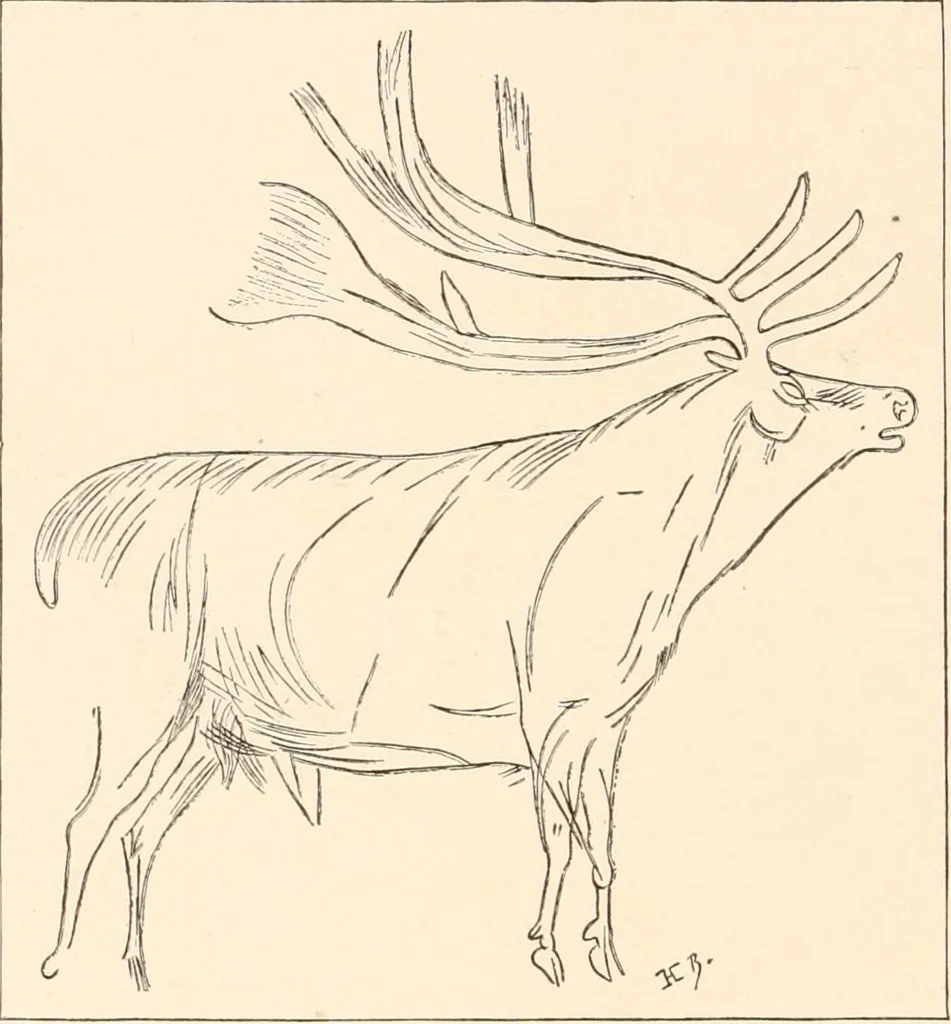 An illustration from Men of the old stone age, their environment, life and art, 1916, leaf 465
