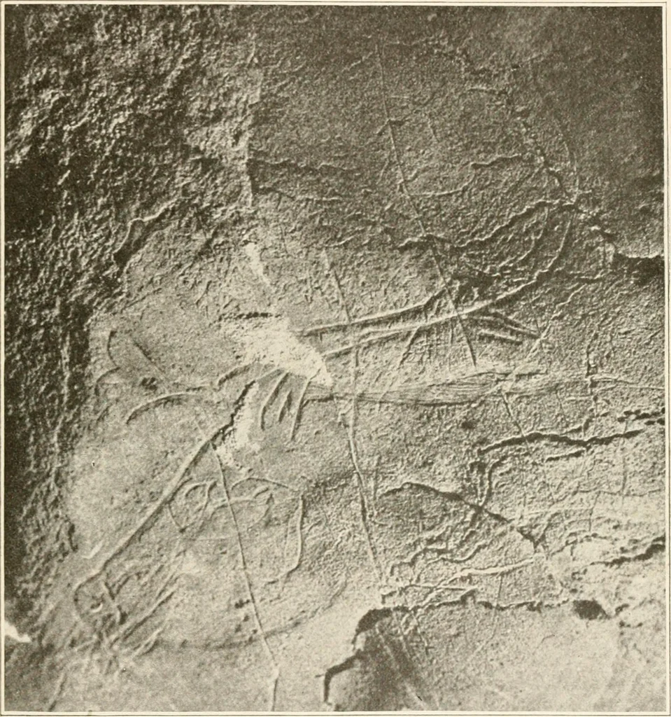 An illustration from Men of the old stone age, their environment, life and art, 1916, leaf 468