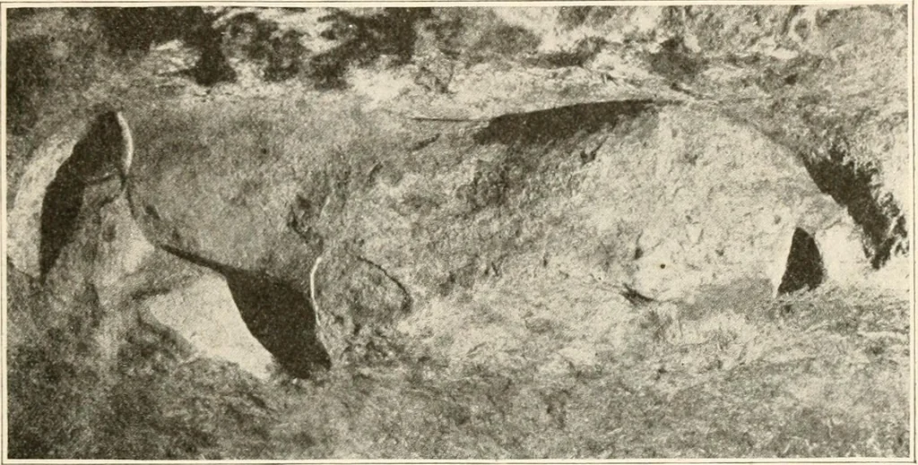 An illustration from Men of the old stone age, their environment, life and art, 1916, leaf 470