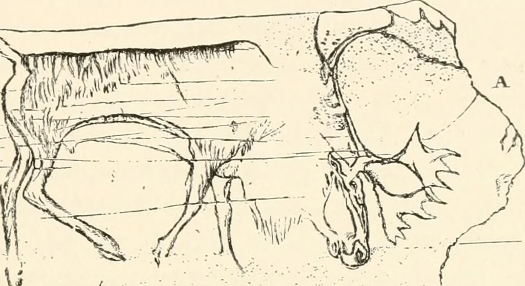 An illustration from Men of the old stone age, their environment, life and art, 1916, leaf 480