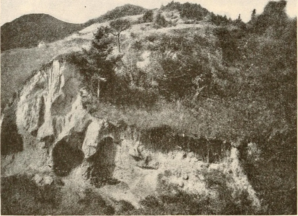 An illustration from Men of the old stone age, their environment, life and art, 1916, leaf 487