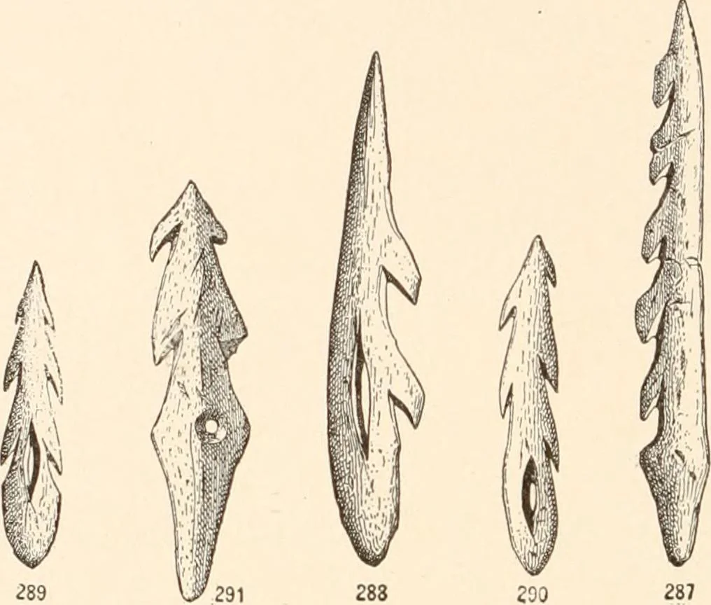 An illustration from Men of the old stone age, their environment, life and art, 1916, leaf 501