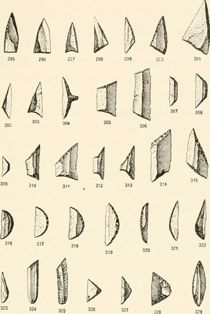 An illustration from Men of the old stone age, their environment, life and art, 1916, leaf 506