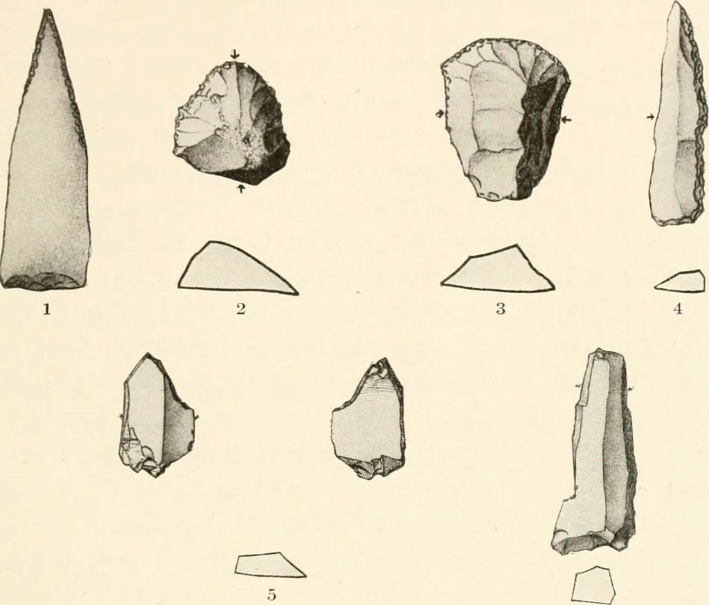 An illustration from Men of the old stone age, their environment, life and art, 1916, leaf 512