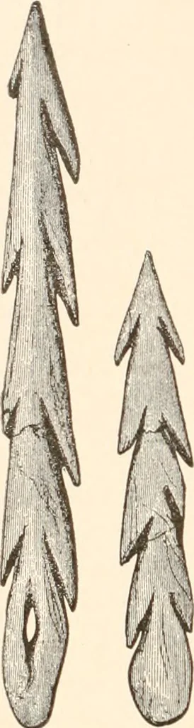 An illustration from Men of the old stone age, their environment, life and art, 1916, leaf 513