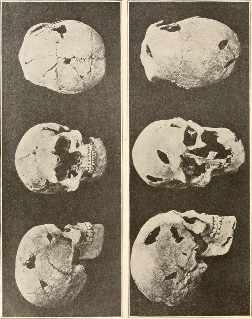 An illustration from Men of the old stone age, their environment, life and art, 1916, leaf 517
