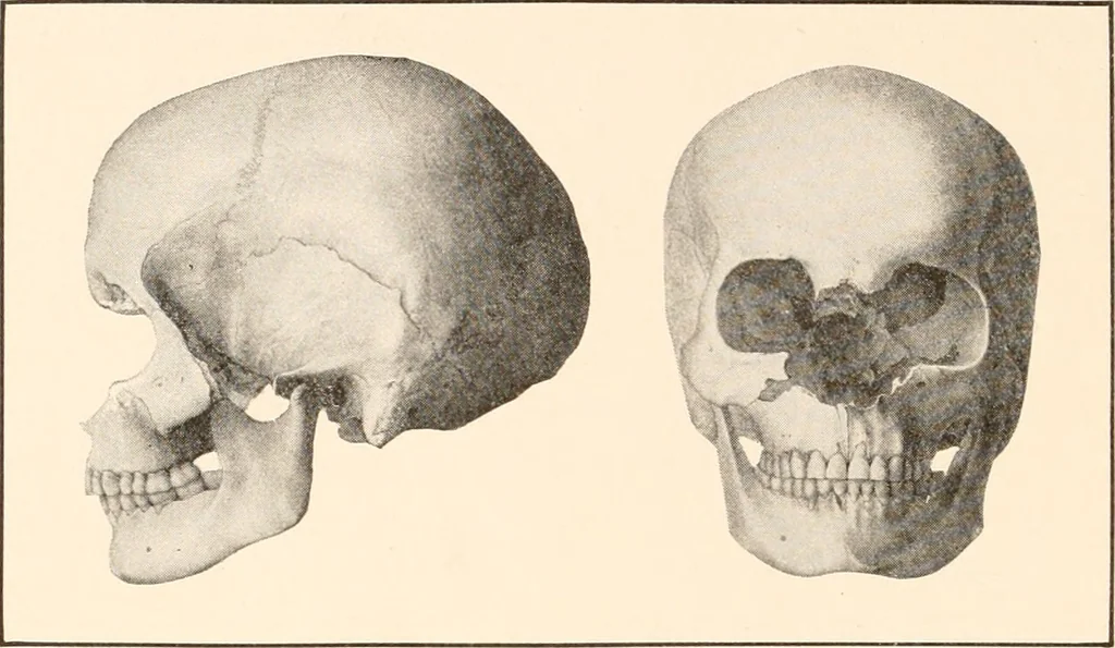 An illustration from Men of the old stone age, their environment, life and art, 1916, leaf 521