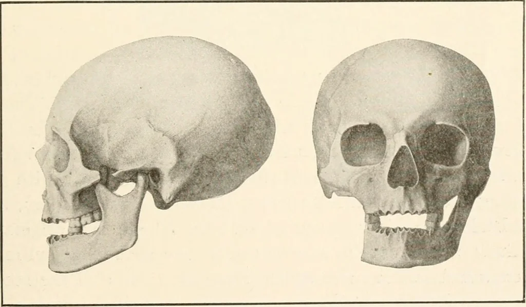 An illustration from Men of the old stone age, their environment, life and art, 1916, leaf 522