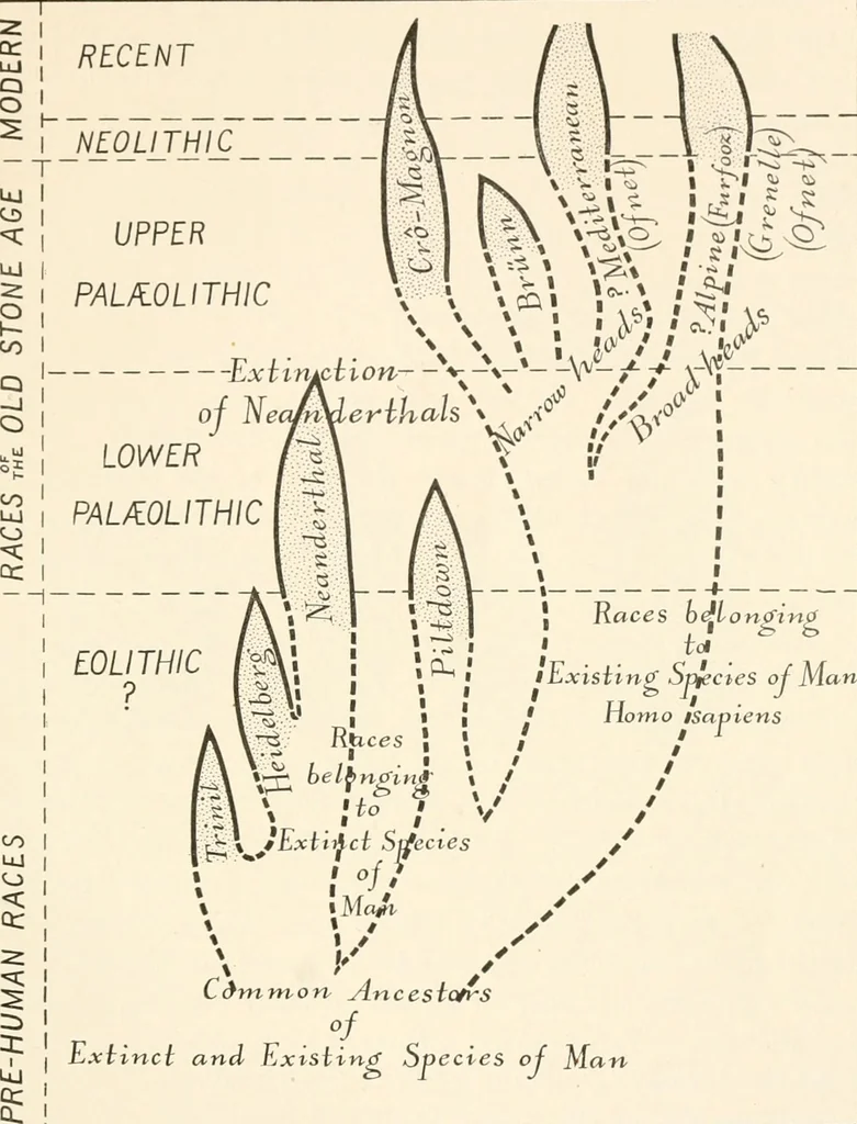 An illustration from Men of the old stone age, their environment, life and art, 1916, leaf 530
