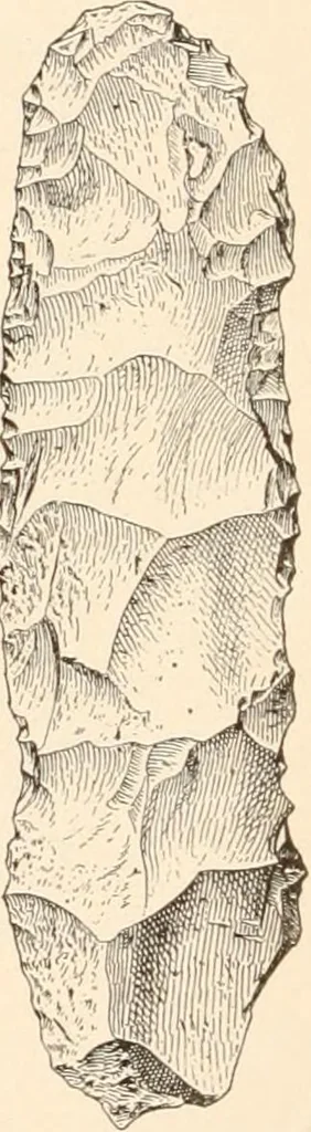 An illustration from Men of the old stone age, their environment, life and art, 1916, leaf 533