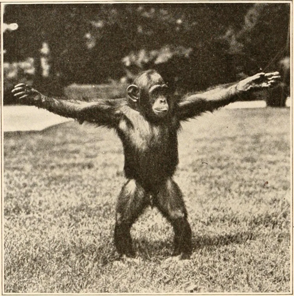 An illustration from Men of the old stone age, their environment, life and art, 1916, leaf 87