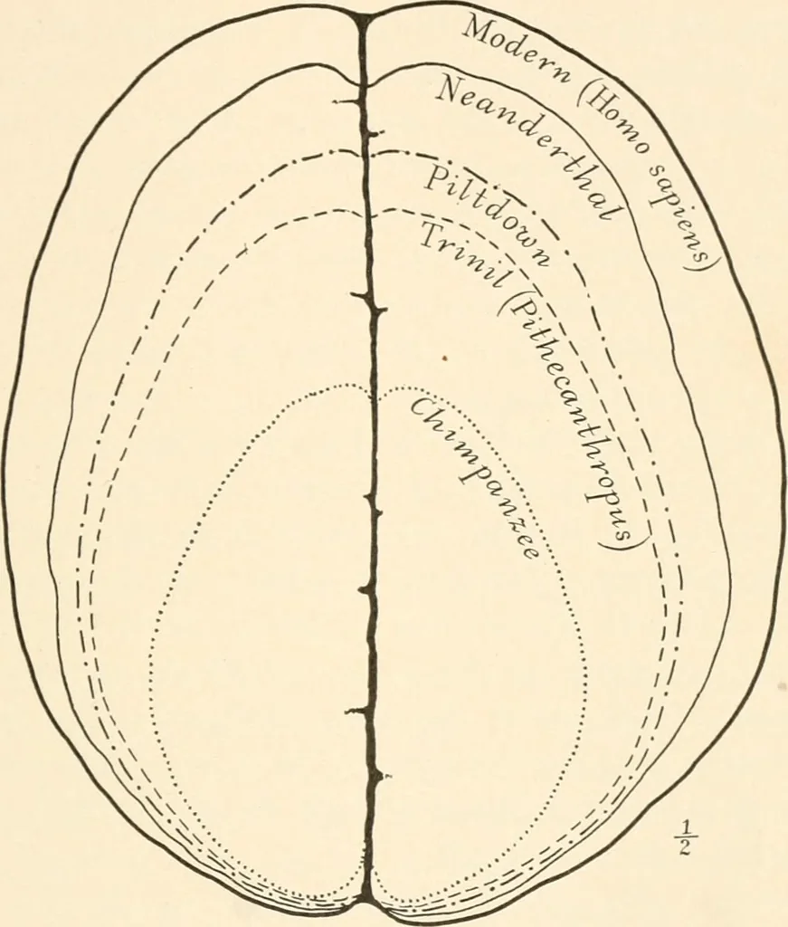An illustration from Men of the old stone age, their environment, life and art, 1916, leaf 94