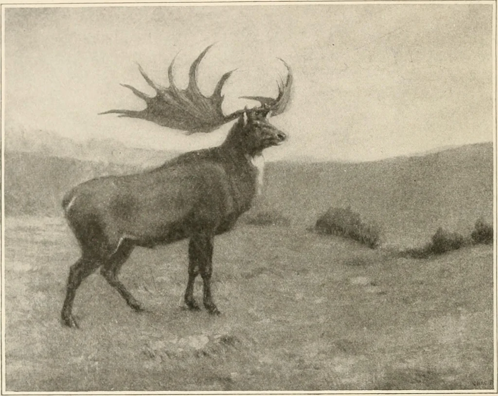 An illustration from Men of the old stone age : their environment, life and art, 1915, leaf 101