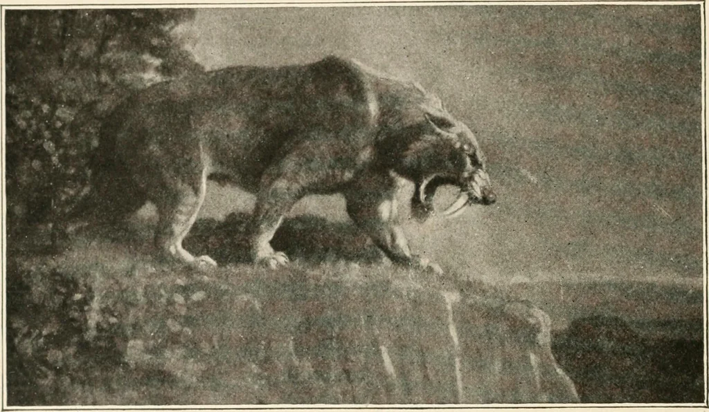 An illustration from Men of the old stone age : their environment, life and art, 1915, leaf 103