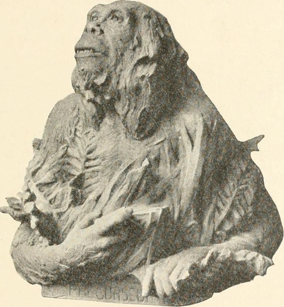 An illustration from Men of the old stone age : their environment, life and art, 1915, leaf 106