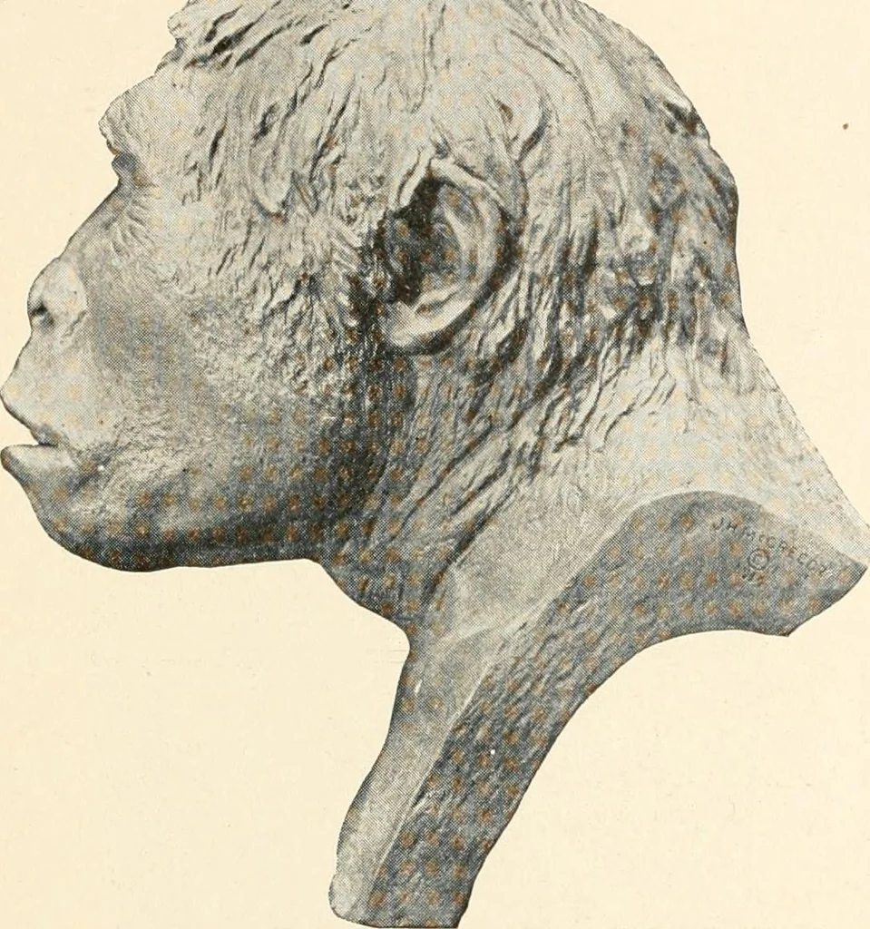 An illustration from Men of the old stone age : their environment, life and art, 1915, leaf 114