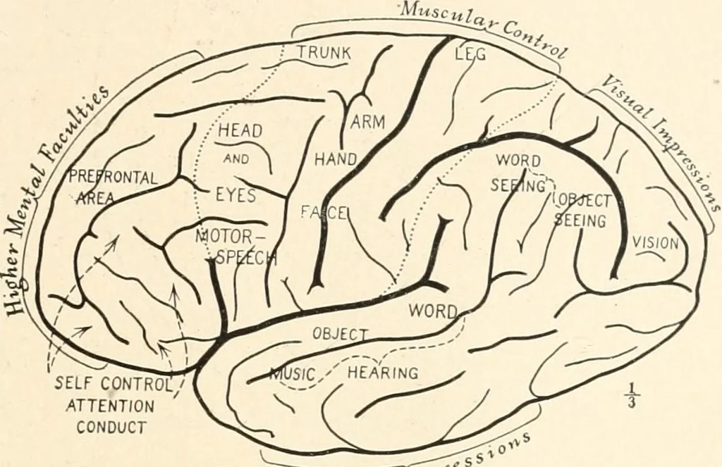 An illustration from Men of the old stone age : their environment, life and art, 1915, leaf 116