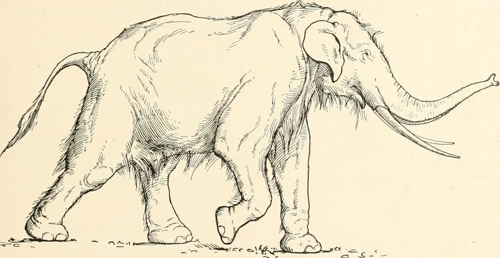 An illustration from Men of the old stone age : their environment, life and art, 1915, leaf 126