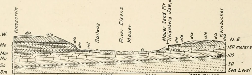 An illustration from Men of the old stone age : their environment, life and art, 1915, leaf 129
