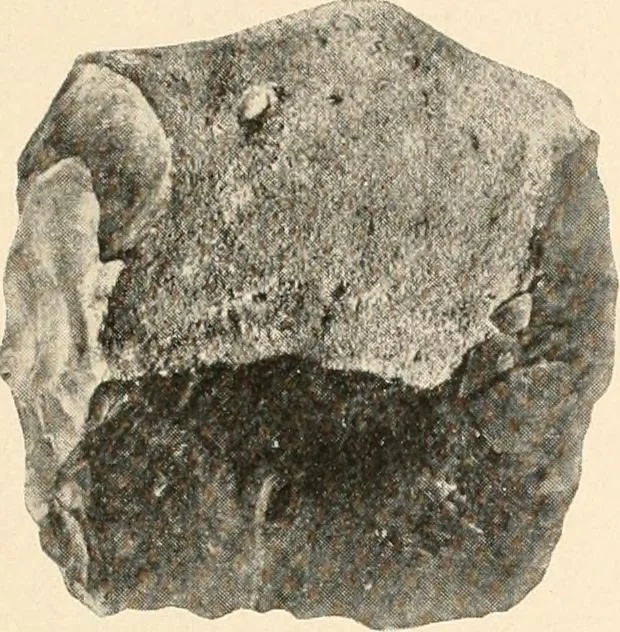 An illustration from Men of the old stone age : their environment, life and art, 1915, leaf 154