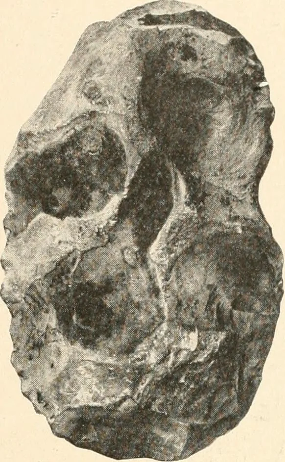 An illustration from Men of the old stone age : their environment, life and art, 1915, leaf 154