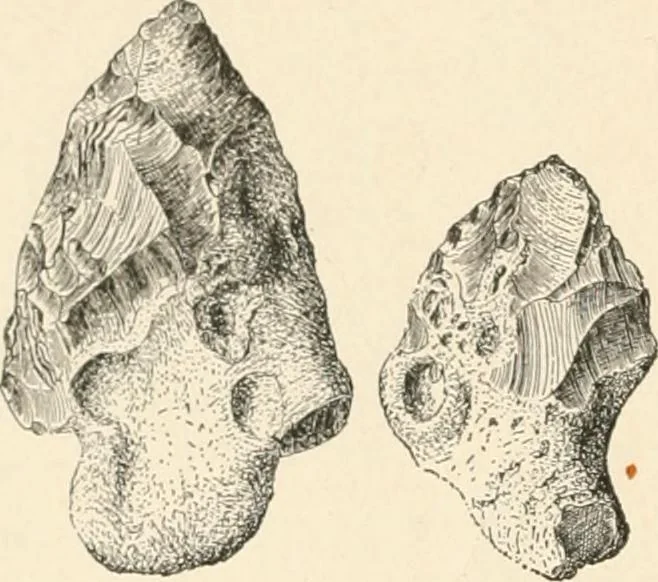 An illustration from Men of the old stone age : their environment, life and art, 1915, leaf 161