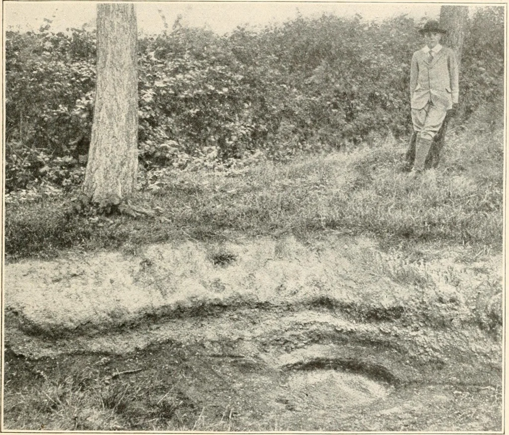 An illustration from Men of the old stone age : their environment, life and art, 1915, leaf 164
