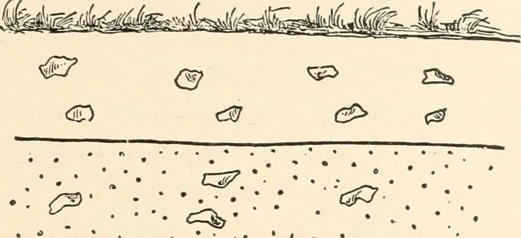An illustration from Men of the old stone age : their environment, life and art, 1915, leaf 166