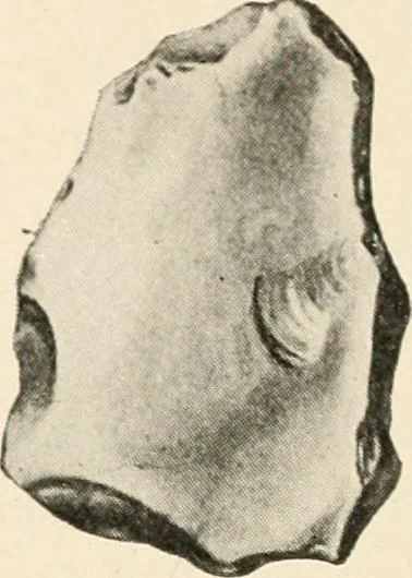 An illustration from Men of the old stone age : their environment, life and art, 1915, leaf 167