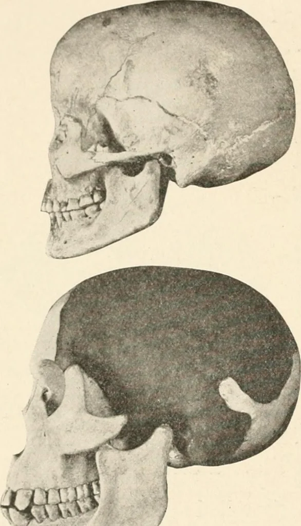 An illustration from Men of the old stone age : their environment, life and art, 1915, leaf 169