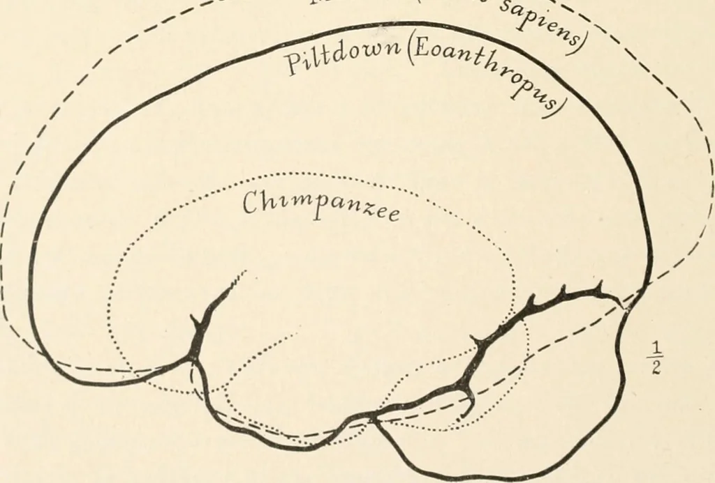 An illustration from Men of the old stone age : their environment, life and art, 1915, leaf 173