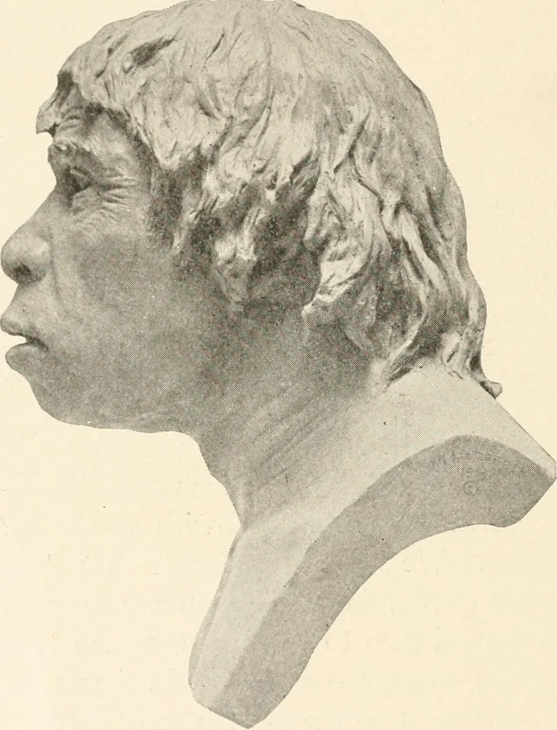 An illustration from Men of the old stone age : their environment, life and art, 1915, leaf 175
