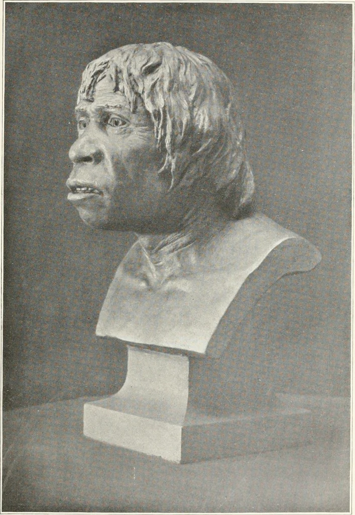 An illustration from Men of the old stone age : their environment, life and art, 1915, leaf 178