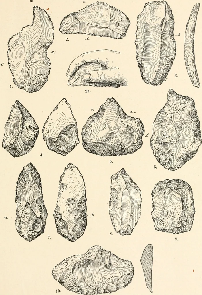 An illustration from Men of the old stone age : their environment, life and art, 1915, leaf 184