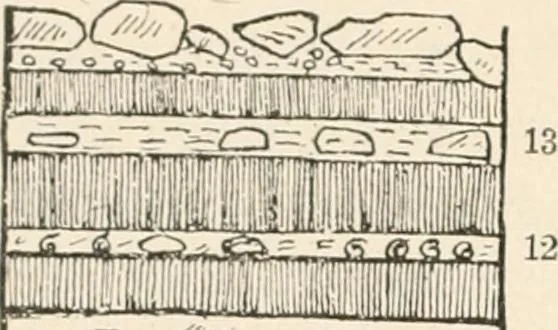 An illustration from Men of the old stone age : their environment, life and art, 1915, leaf 195