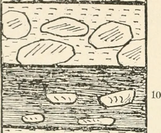 An illustration from Men of the old stone age : their environment, life and art, 1915, leaf 195