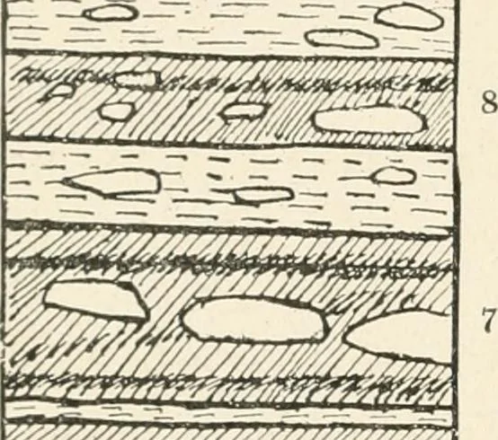An illustration from Men of the old stone age : their environment, life and art, 1915, leaf 195