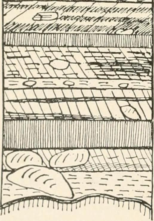 An illustration from Men of the old stone age : their environment, life and art, 1915, leaf 195