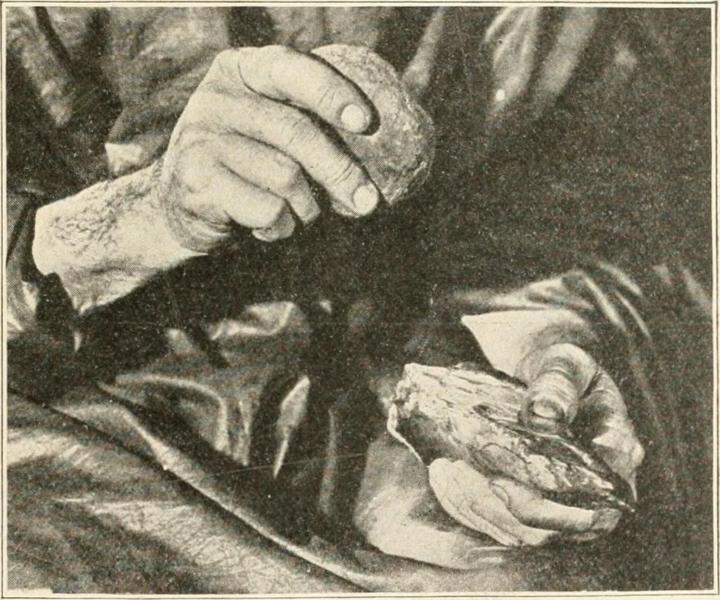 An illustration from Men of the old stone age : their environment, life and art, 1915, leaf 200