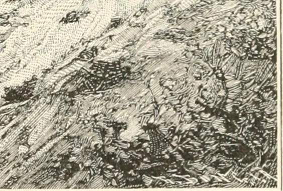 An illustration from Men of the old stone age : their environment, life and art, 1915, leaf 212