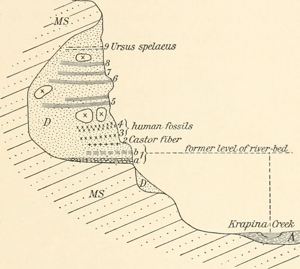 An illustration from Men of the old stone age : their environment, life and art, 1915, leaf 214