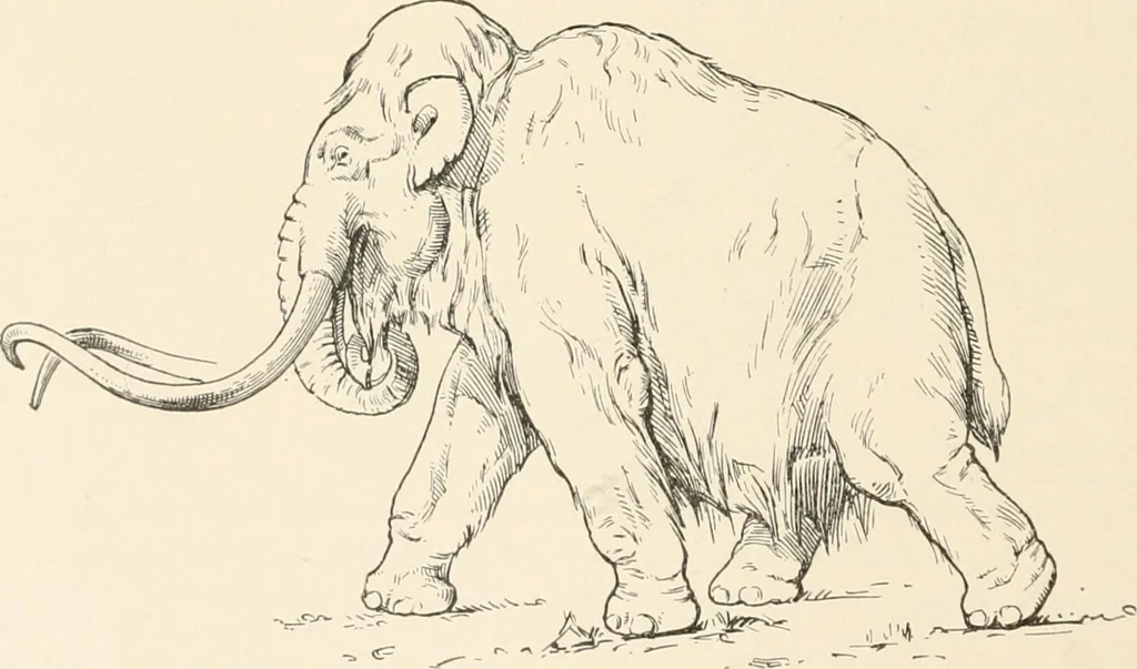 An illustration from Men of the old stone age : their environment, life and art, 1915, leaf 221
