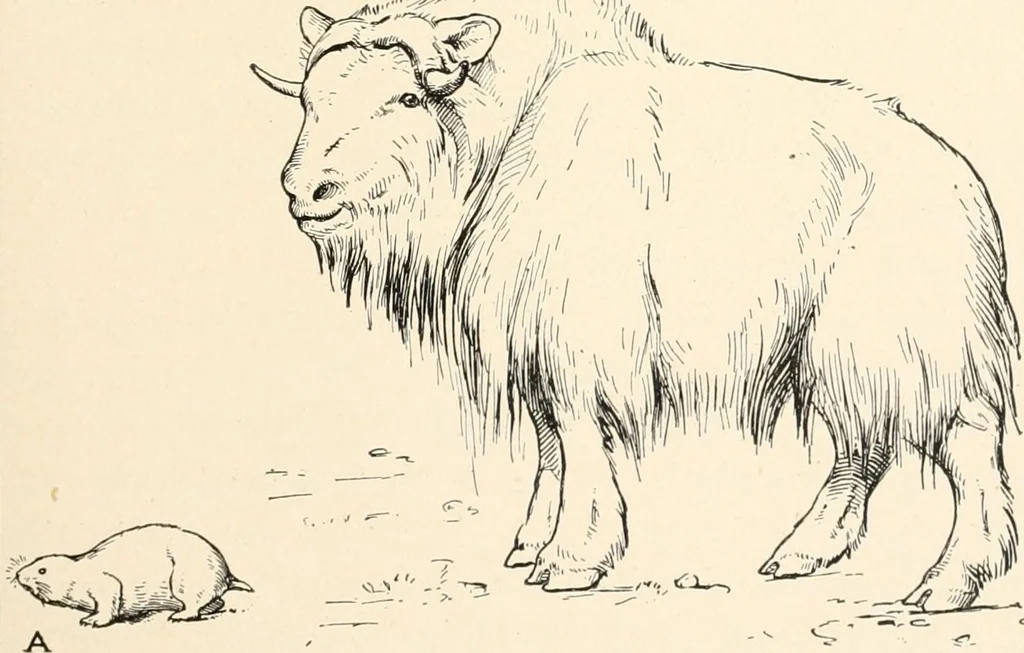An illustration from Men of the old stone age : their environment, life and art, 1915, leaf 224