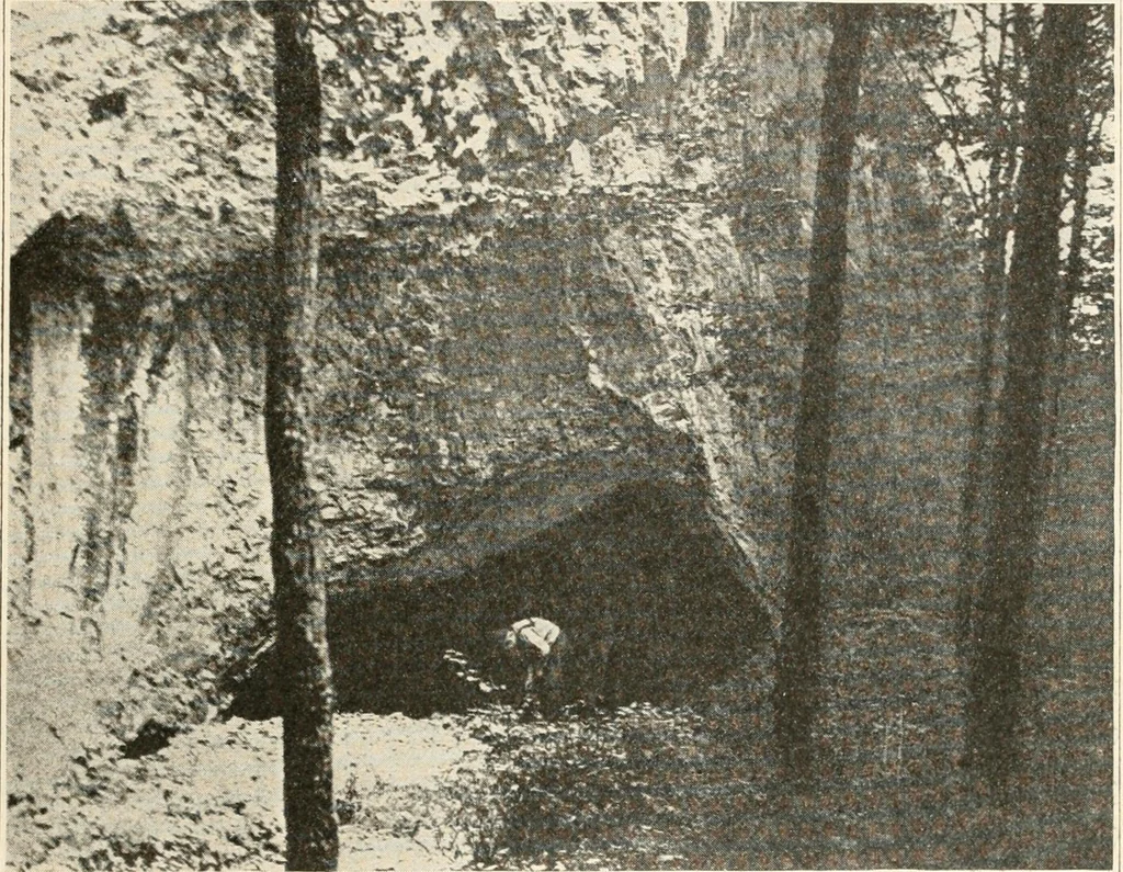 An illustration from Men of the old stone age : their environment, life and art, 1915, leaf 232