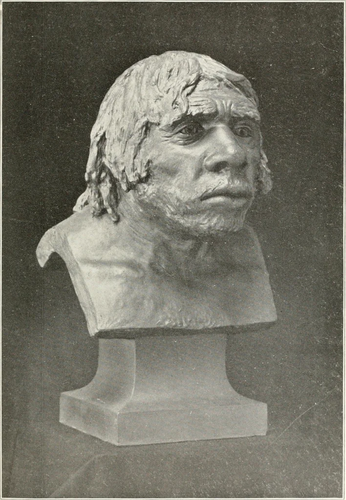 An illustration from Men of the old stone age : their environment, life and art, 1915, leaf 234